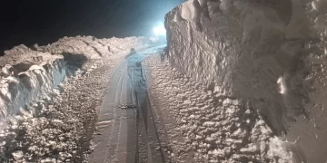 Siirt’te kar nedeniyle 20 yerleşim yerinin yolu kapandı