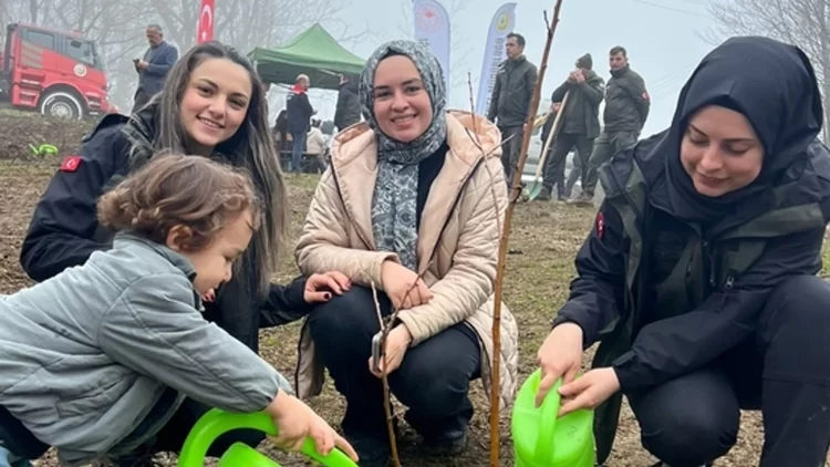 sinop turkelide fidanlar toprakla bulustu habermeydan