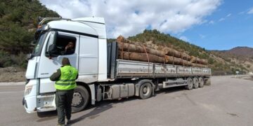 Sinop’ta, ormanları koruma amaçlı denetimler sıklaştı!