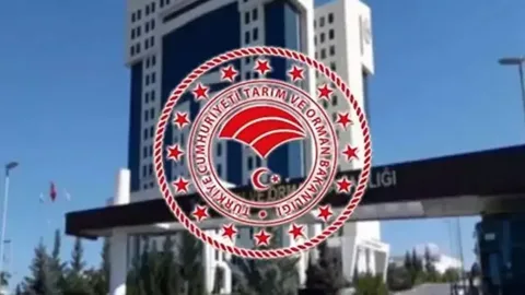 Kars'ın Ani Köyünde Mera Kullanımının Yasaklandığı İddialarına Açıklama Ani Koyunde Mera Kullaniminin Yasaklandigi Iddialari habermeydan