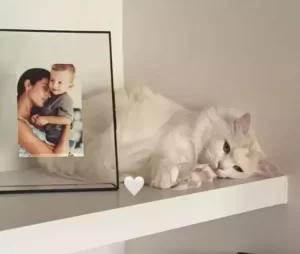 Arzum Onan duygusal paylasim1 habermeydan