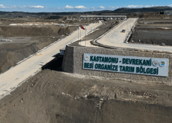 Kastamonu’ya 784 Milyonluk Besi Organize Tarım Bölgesi Yatırımı