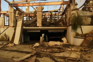 Kenan Dogulu evini satiliga cikardi1 habermeydan