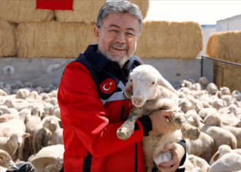 Kırsalda Bereket Küçükbaşa Destek Projesi ile yıllık 180 bin lira destek verilecek Kırsalda Bereket Küçükbaşa Destek Projesi ile yıllık 180 bin lira destek verilecek