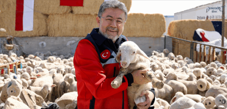 Kirsalda Bereket Kucukbasa Destek Projesi habermeydan 1