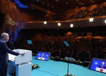 Cumhurbaşkanı Erdoğan, OECD Beceriler Zirvesi’nde konuştu