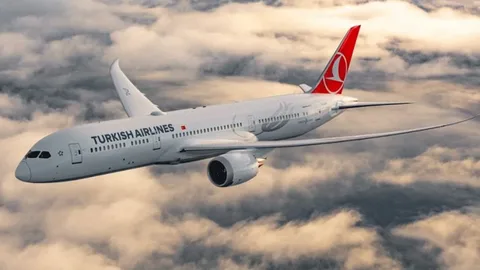 Türk Hava Yolları, 133 ülkede 351 şehre uçuş düzenliyor Turk Hava Yollari habermeydan