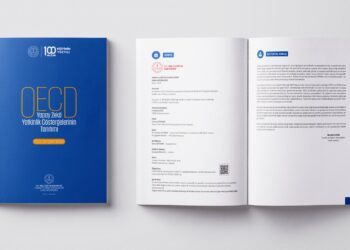 OECD’nin “Yapay Zeka Yetkinlik Göstergeleri” raporu Türkçeye çevrildi