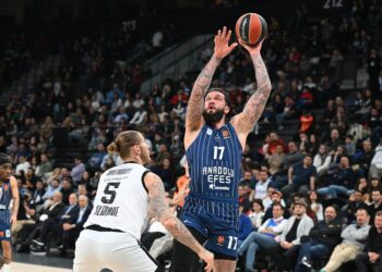 Anadolu Efes, evinde Partizan’a takılmadı!