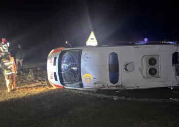 Muş-Malazgirt yolunda ambulans şarampole devrildi!