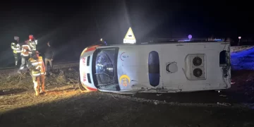 Muş-Malazgirt yolunda ambulans şarampole devrildi!