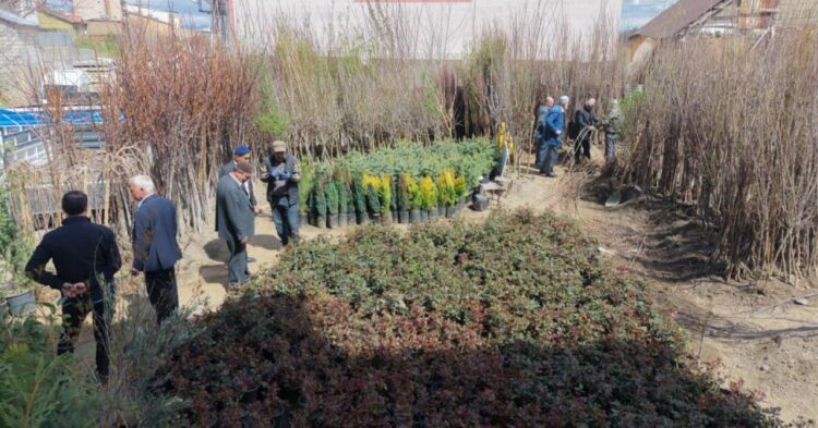 musta dikime hazir meyve fidanlari satisi basladi habermeydan e1775485522732