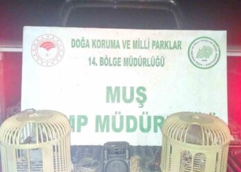 Muş’ta, kaçak keklik avına 65 bin TL ceza!
