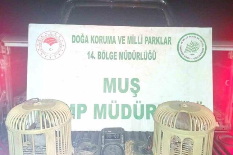 musta kacak keklik avina 65 bin tl ceza habermeydan