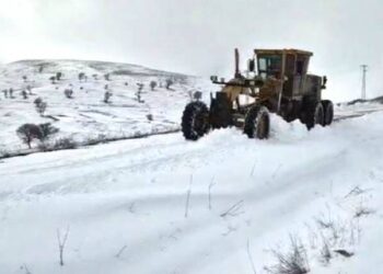 Muş’ta, kar yağışı 55 köy yolunu kapadı!