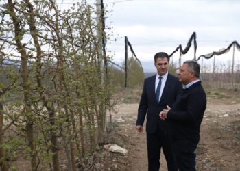 Niğde’de meyve ve sebze işleme yatırımlarına özel teşvik