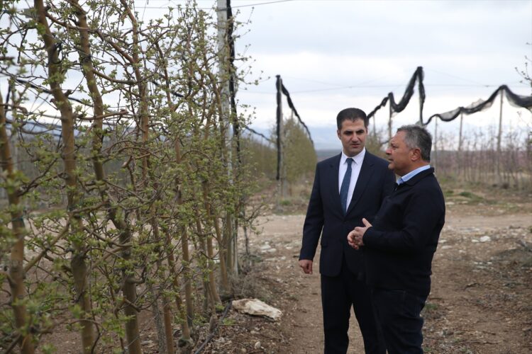 Niğde’de meyve ve sebze işleme yatırımlarına özel teşvik...
