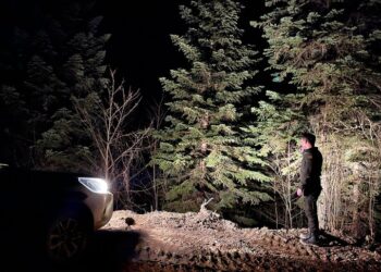 Sinop ormanları, 7/24 denetim altında tutuluyor!