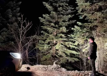 Sinop ormanları, 7/24 denetim altında tutuluyor!