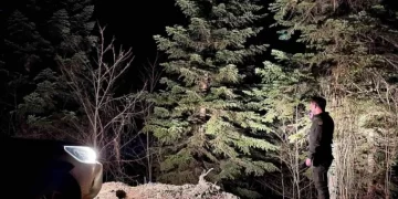 Sinop ormanları, 7/24 denetim altında tutuluyor!