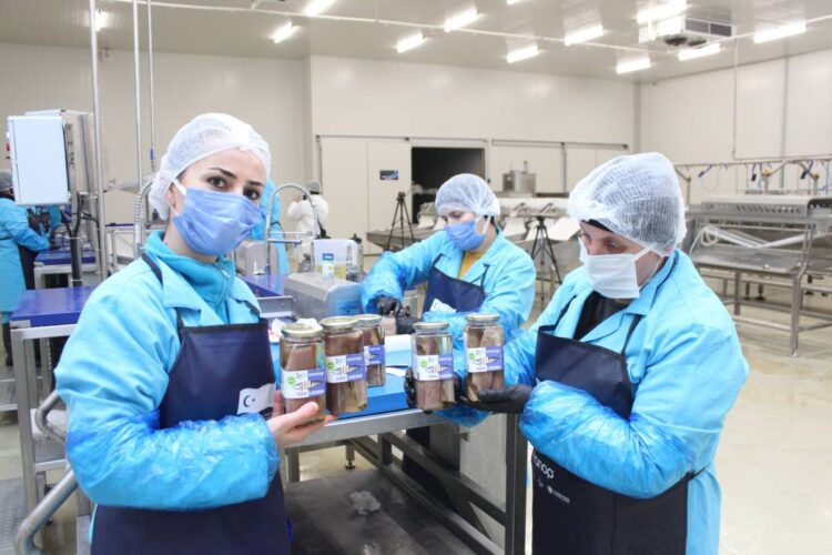 sinopta cografi isaretli lakerdanin uretimi basladi habermeydan