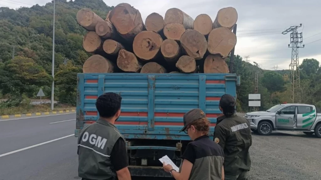 sinopta orman kacakciligina karsi 183 noktada denetim habermeydan