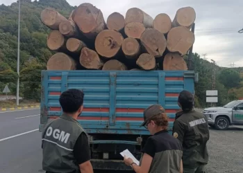 Sinop’ta, orman kaçakçılığına karşı 183 noktada denetim!