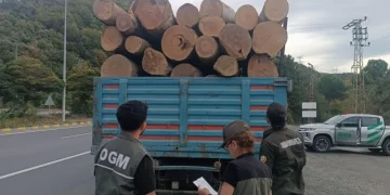 Sinop’ta, orman kaçakçılığına karşı 183 noktada denetim!