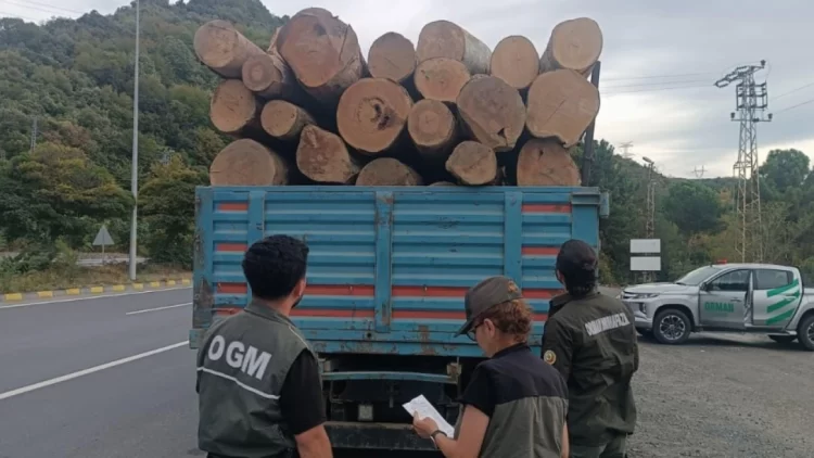 sinopta orman kacakciligina karsi 183 noktada denetim habermeydan