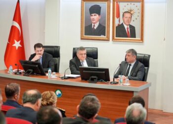 Sinop’ta, sokak hayvanları için kritk zirve!