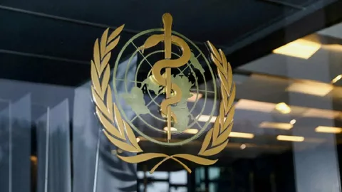 DSÖ’den Ebola duyurusu! ‘Gerçek tablo çok daha ağır olabilir’ Ebola habermeydan 1