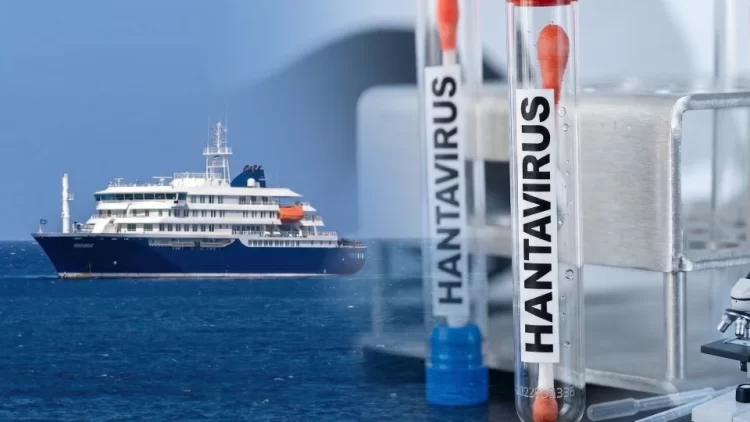 Hantavirus nedir habermeydan