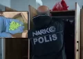 71 İlde Düzenlenen Operasyonlarda 1 Ton 127 Kilo 705 Gram Uyuşturucu Madde Ele Geçirildi