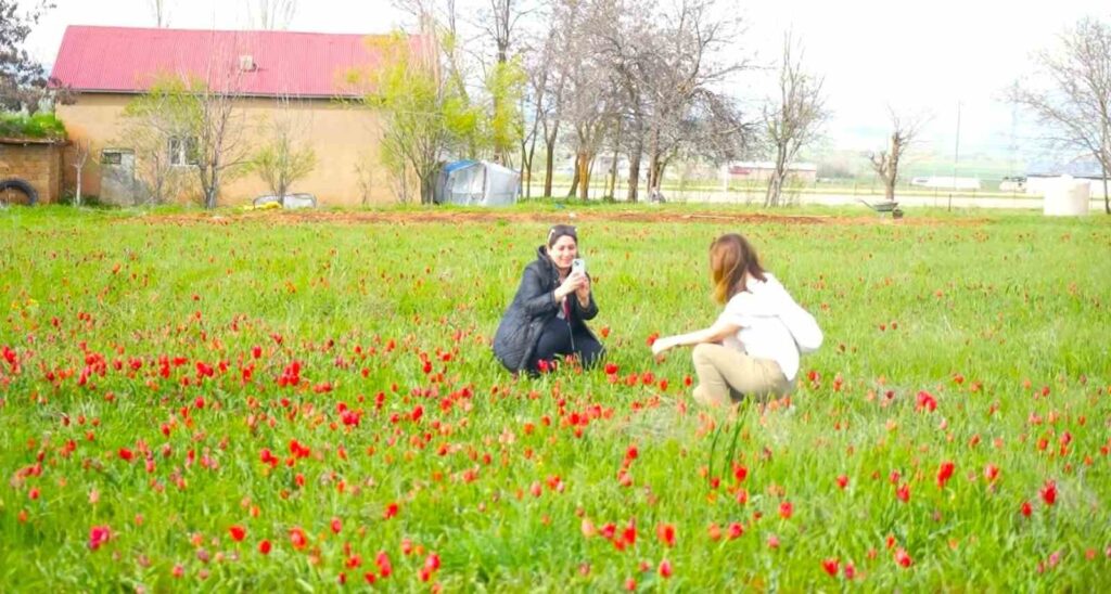akademisyenler mus ovasinda lalelerle bulustu habermeydan