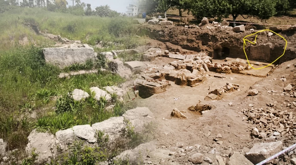 arazi habermeydan