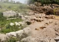 İnşaat yapılacaktı: Araziden tarih fışkırdı!