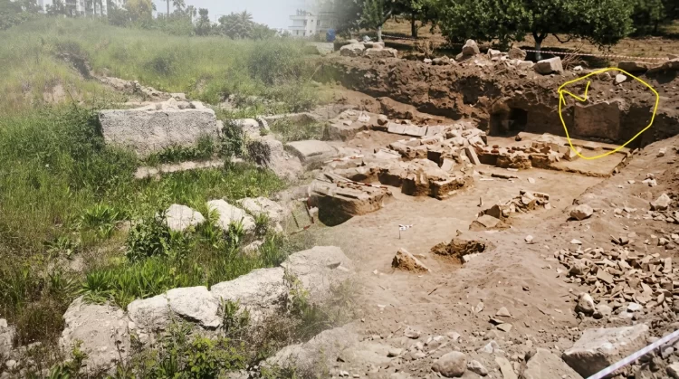 arazi habermeydan