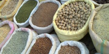 Türkiye’den hububat ihracatında 3,9 milyar dolarlık gelir