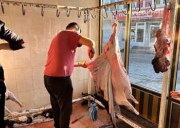 Muş Hasköy'de, bayram namazının ardından kurbanlar kesildi! Muş Hasköy’de, bayram namazının ardından kurbanlar kesildi!