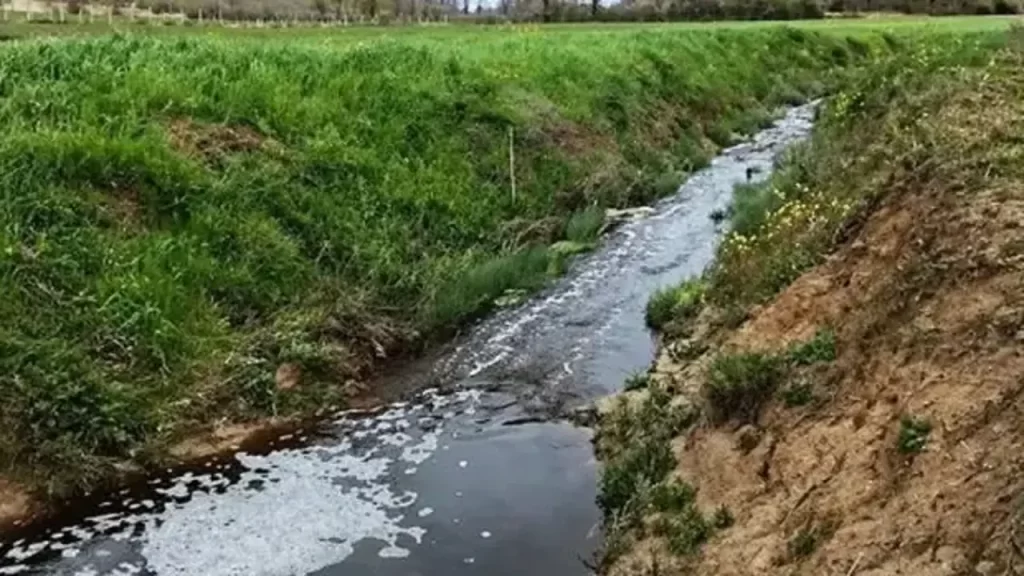 Sinop'ta, çevreyi kirleten tesise rekor ceza! sinopta cevreyi kirleten tesise rekor ceza habermeydan
