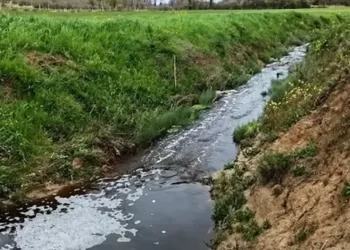 Sinop’ta, çevreyi kirleten tesise rekor ceza!