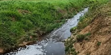 Sinop’ta, çevreyi kirleten tesise rekor ceza!