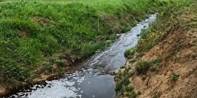 Sinop’ta, çevreyi kirleten tesise rekor ceza!