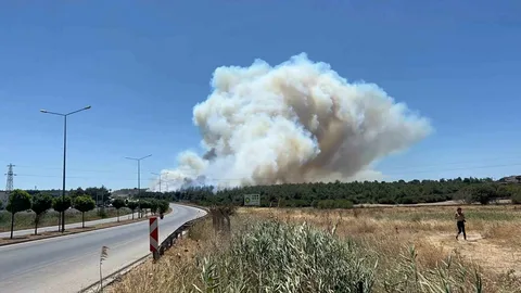 Çanakkale İçin Kritik Uyarı: 4 Gün Boyunca Yangın Riski Yüksek Canakkale Icin Kritik Uyari habermeydan