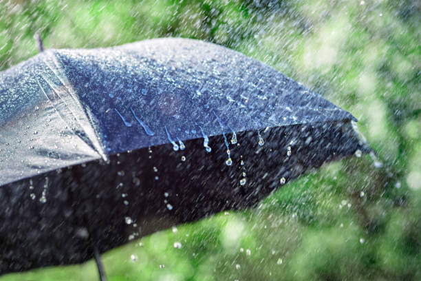 Meteoroloji Açıkladı: En Çok Yağış Alan İl Belli Oldu En Cok Yagis Alan Il habermeydan