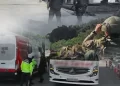 Göçmen kaçakçılığı operasyonu! 36 organizatör tutuklandı
