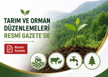 Resmi Gazete’de Yayımlandı: Karbon Yutak Ormanları Kurulacak, Yeni Cezalar Geliyor Resmi Gazete’de Yayımlandı: Karbon Yutak Ormanları Kurulacak, Yeni Cezalar Geliyor