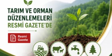 Resmi Gazete’de Yayımlandı: Karbon Yutak Ormanları Kurulacak, Yeni Cezalar Geliyor Resmi Gazete’de Yayımlandı: Karbon Yutak Ormanları Kurulacak, Yeni Cezalar Geliyor