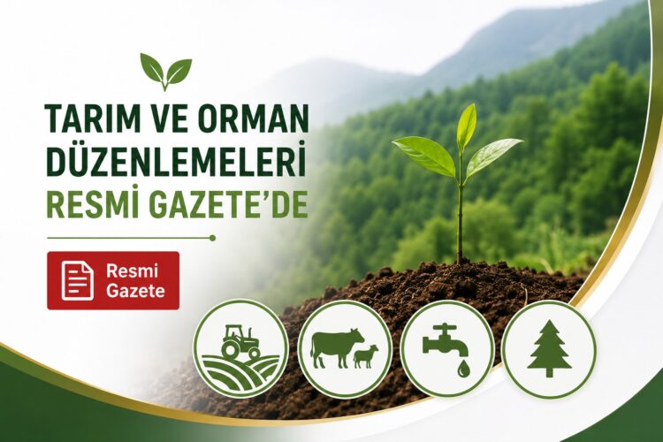 Resmi Gazete’de Yayımlandı: Karbon Yutak Ormanları Kurulacak, Yeni Cezalar Geliyor Karbon Yutak Ormanlari habermeydan