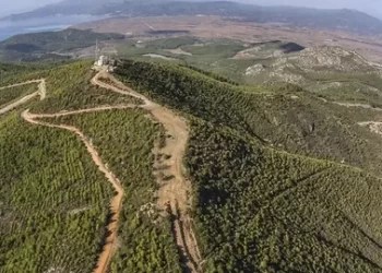 İzmir Valiliği açıkladı! Ormanlık alanlara giriş yasağı başladı